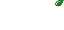 Growth Spurt